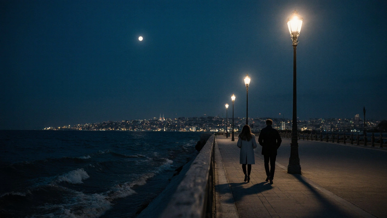 Marmara kıyısında ay ışığında sessizce yürüyen iki kişi, İstanbul&#039;un uzak ışıklarıyla.